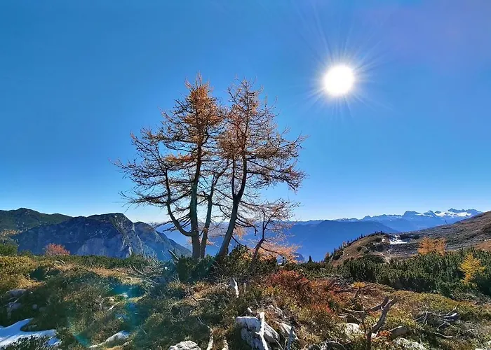 Berglebnis * Tauplitz