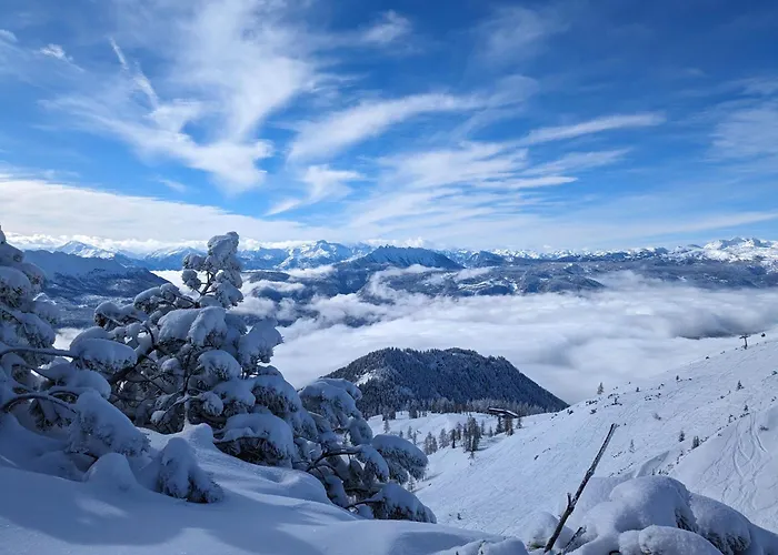 Apartmán Berglebnis *